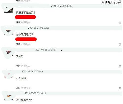 娱乐吃瓜酱文件传输,揭秘文件传输背后的精彩故事