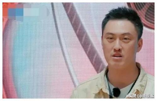 娱乐圈小说吃瓜爆料爽文完结文,吃瓜爆料，爽文完结，星光璀璨